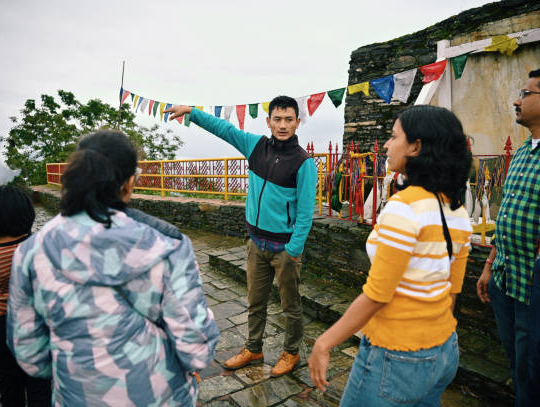 Professional Tour Guide